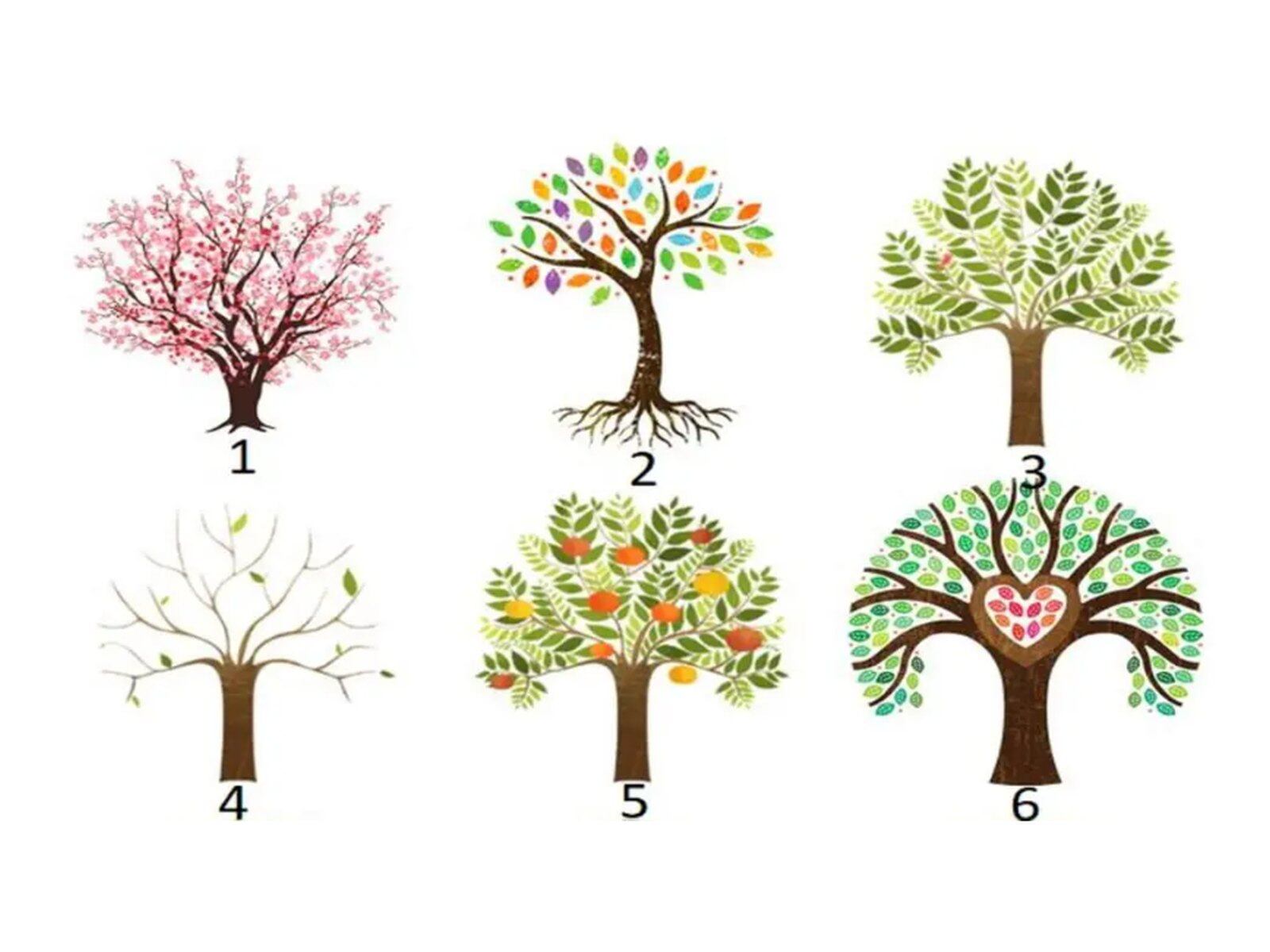 TEST VISUAL | Esta imagen te muestra varios árboles. Debes escoger uno. (Foto: namastest.net)