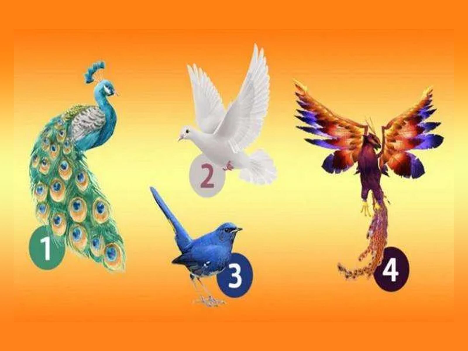 Cada ave representa diferentes rasgos de personalidad. ¡Sorpréndete con los resultados!