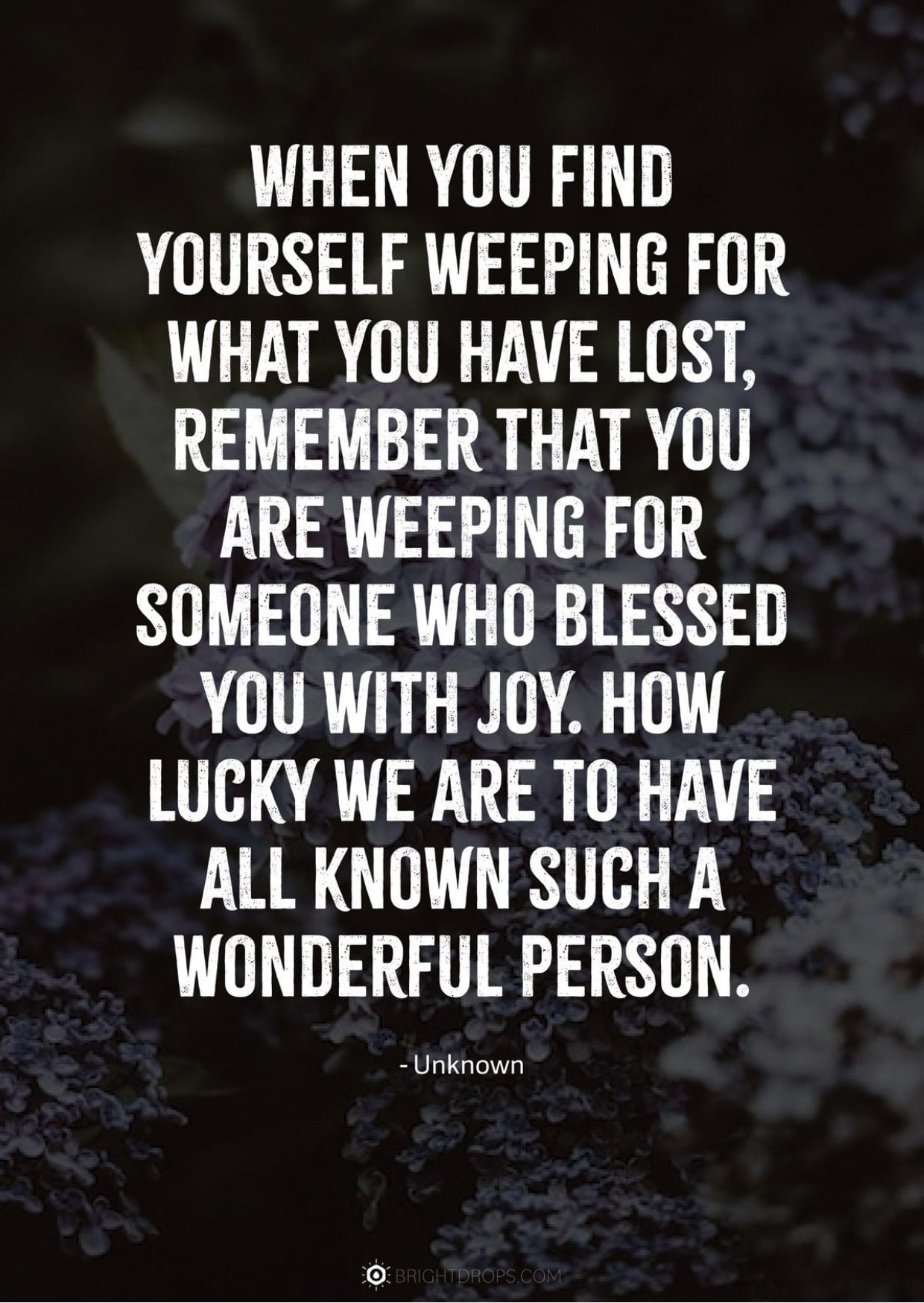 When you find yourself weeping for what you have lost, remember that you are weeping for someone who blessed you with joy. How lucky we are to have all known such a wonderful person. | Photo by Pinterest / brightdrops.com / Depor