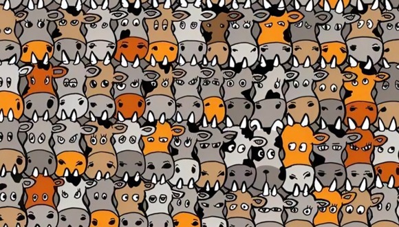 ¿Puedes ver al perro oculto entre las vacas? Solo una de cada 10 personas lo consigue (Foto: GenialGuru)
