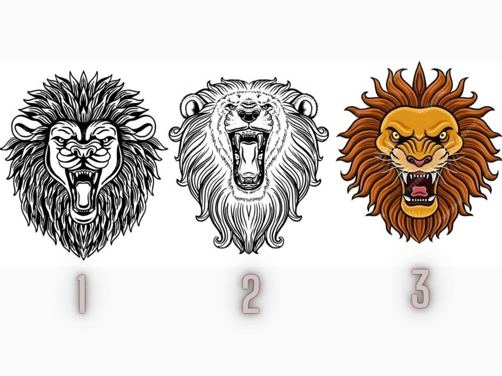 TEST VISUAL | Cada león cuenta con una importante información. (Foto: Composición Freepik / Depor)