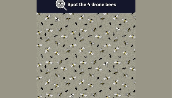 DESAFÍO VISUAL | Debes tener los ojos de un halcón si puedes detectar las cuatro abejas zánganos en esta ilusión óptica en menos de 10 segundos. | Make My Blinds