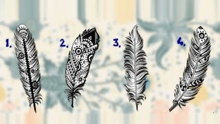 Indica cuál es la pluma que más te gusta y tu misión en la vida será revelada