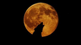 ¿A qué hora inicia y cómo ver hoy la Luna del Lobo 2024 en vivo desde USA y México?