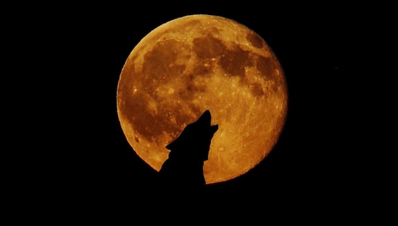A qué hora se podrá ver la Luna Llena del Lobo 2024 este jueves 25 de enero en diferentes países del mundo | Foto: Pixabay