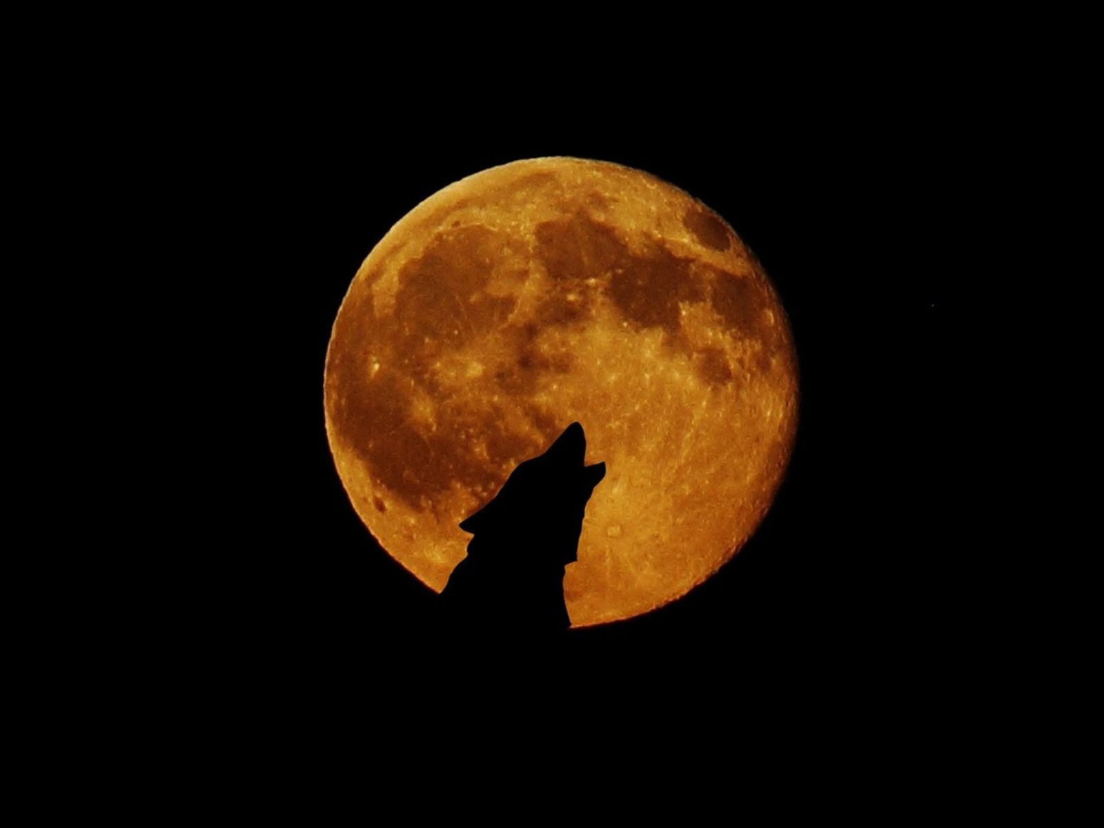 A qué hora se podrá ver la Luna Llena del Lobo 2024 este jueves 25 de enero en diferentes países del mundo | Foto: Pixabay