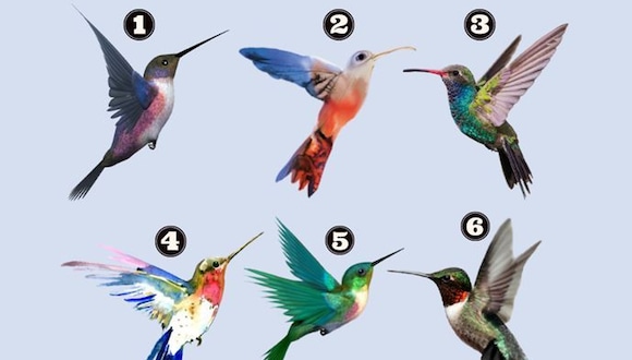 TEST DE PERSONALIDAD | Observa con atención los seis colibríes de la imagen y elige el que más te identifique. Cada uno de ellos representa un arquetipo de actitud ante la vida, revelándote aspectos sorprendentes de tu personalidad y tu forma de enfrentar el mundo.