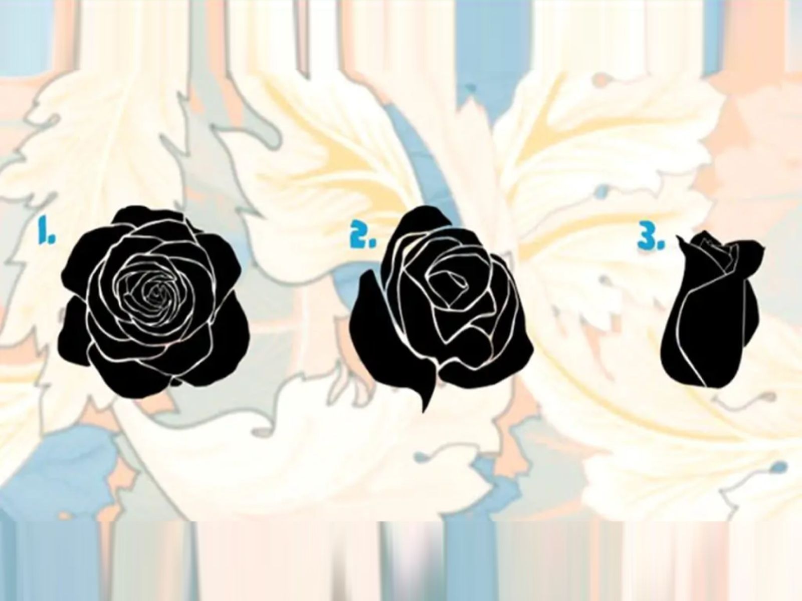 TEST VISUAL | En esta imagen puedes apreciar tres rosas negras. Debes escoger una. (Foto: namastest.net)