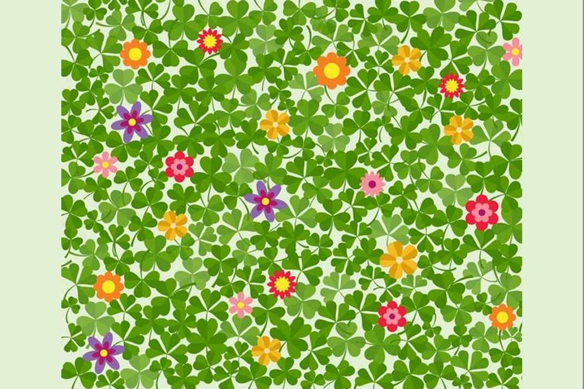 DESAFÍO VISUAL | ¿Puedes ver el trébol de cuatro hojas escondido en esta ilusión óptica? (jagranjosh)