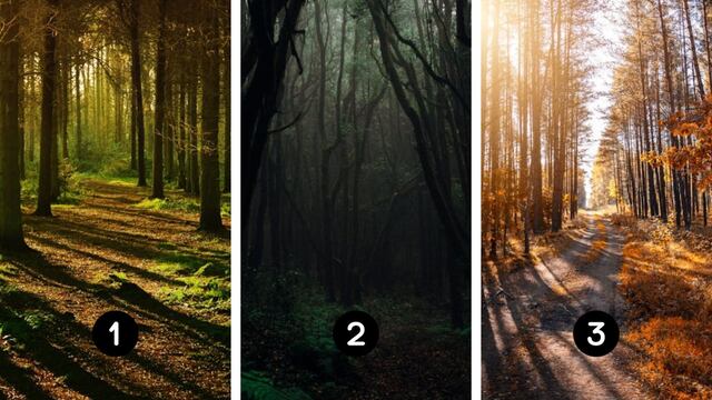Elige uno de estos bosques y descubrirás cuál es tu estado ánimo actualmente