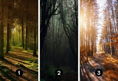Elige uno de estos bosques y descubrirás cuál es tu estado ánimo actualmente