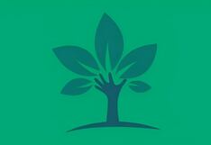 Test visual: lo que veas primero en la imagen te hará conocer tu forma de vivir