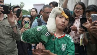 Mundial 2026: el pato Merlín causa furor en el Fan Fest