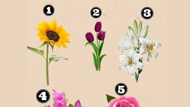Elige una flor y descubre las sorpresas que te esperan el próximo mes