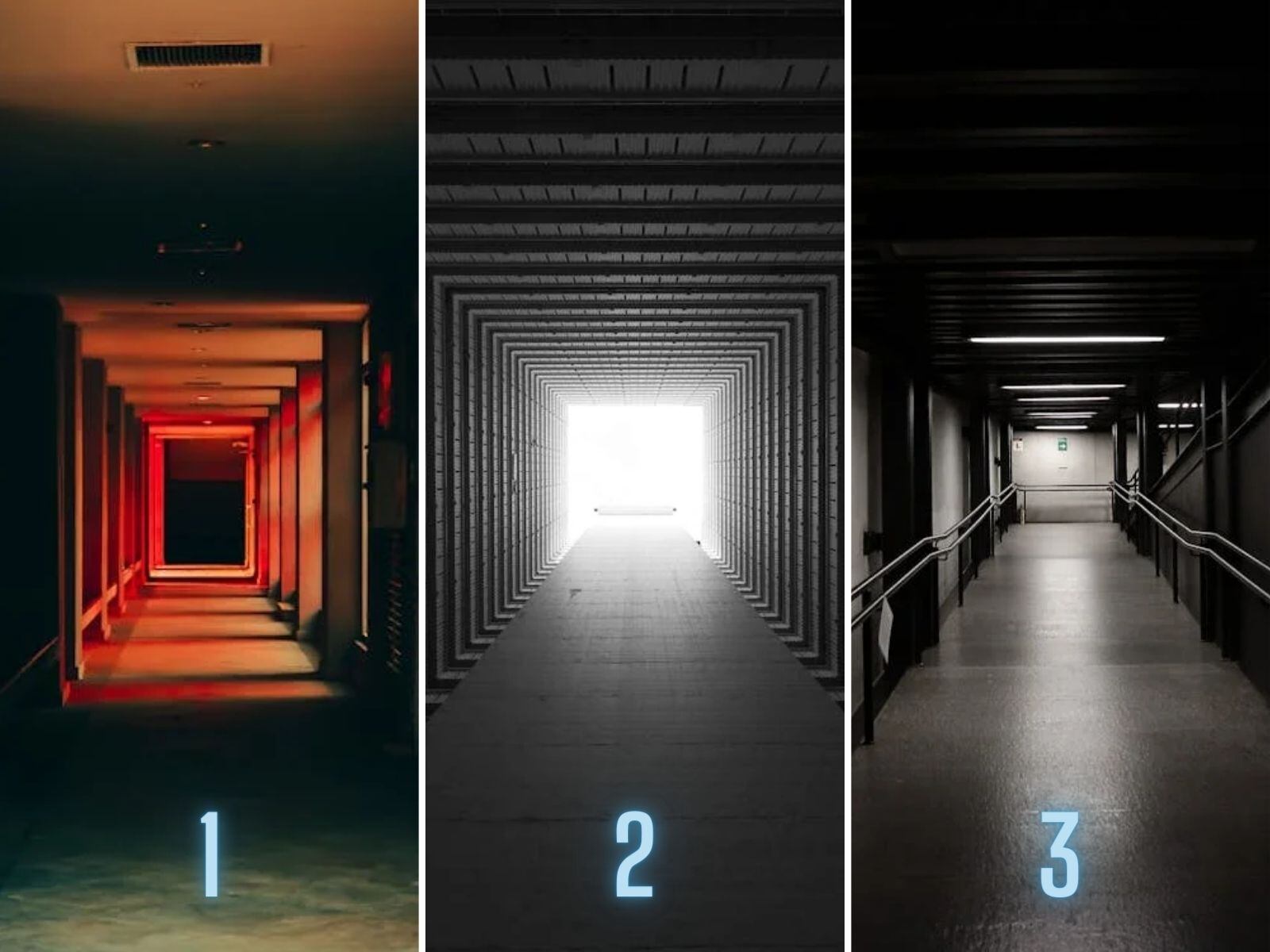 TEST VISUAL | Mira con atención cada una de las imágenes mostradas. De esa forma, podrás seleccionar una opción. (Foto: Composición Freepik / Depor)