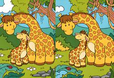 ¿Podrás encontrar las 5 diferencias en solo 8 segundos? ¡Desafía tu capacidad de observación!