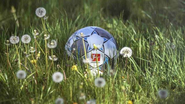 El fútbol hace bien: el estímulo que generará el regreso de la Bundesliga, según el psicólogo de la federación alemana