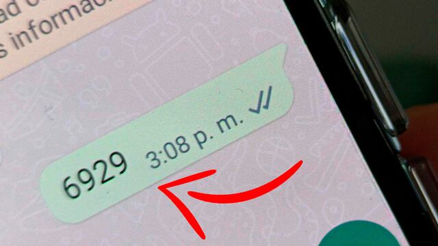 WhatsApp: qué significa el número “6929″ en la app