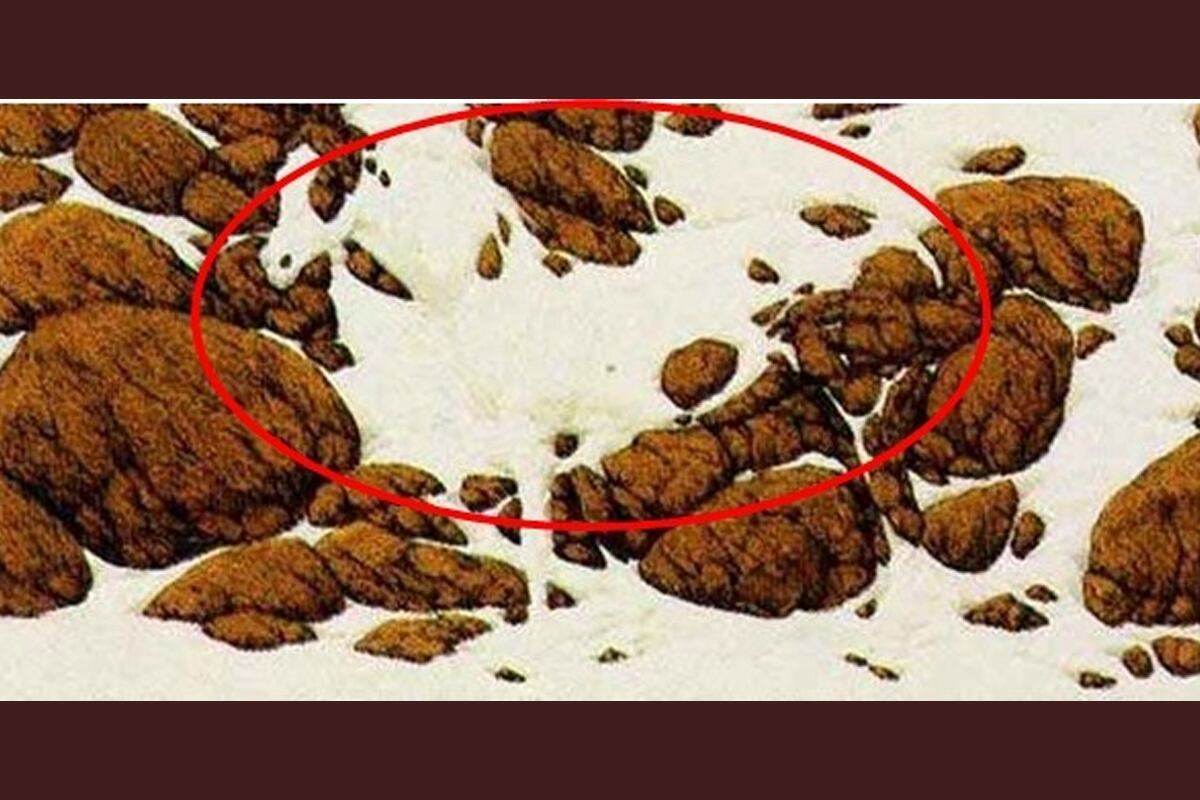 SOLUCIÓN DEL DESAFÍO VISUAL | He encerrado al caballo en un círculo rojo.