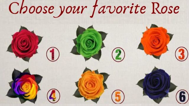 Si te animas a elegir tu rosa favorita, averiguarás cómo eres