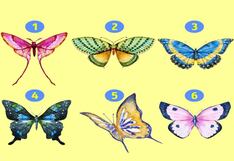 Puedes saber bastantes cosas sobre tu personalidad eligiendo una mariposa