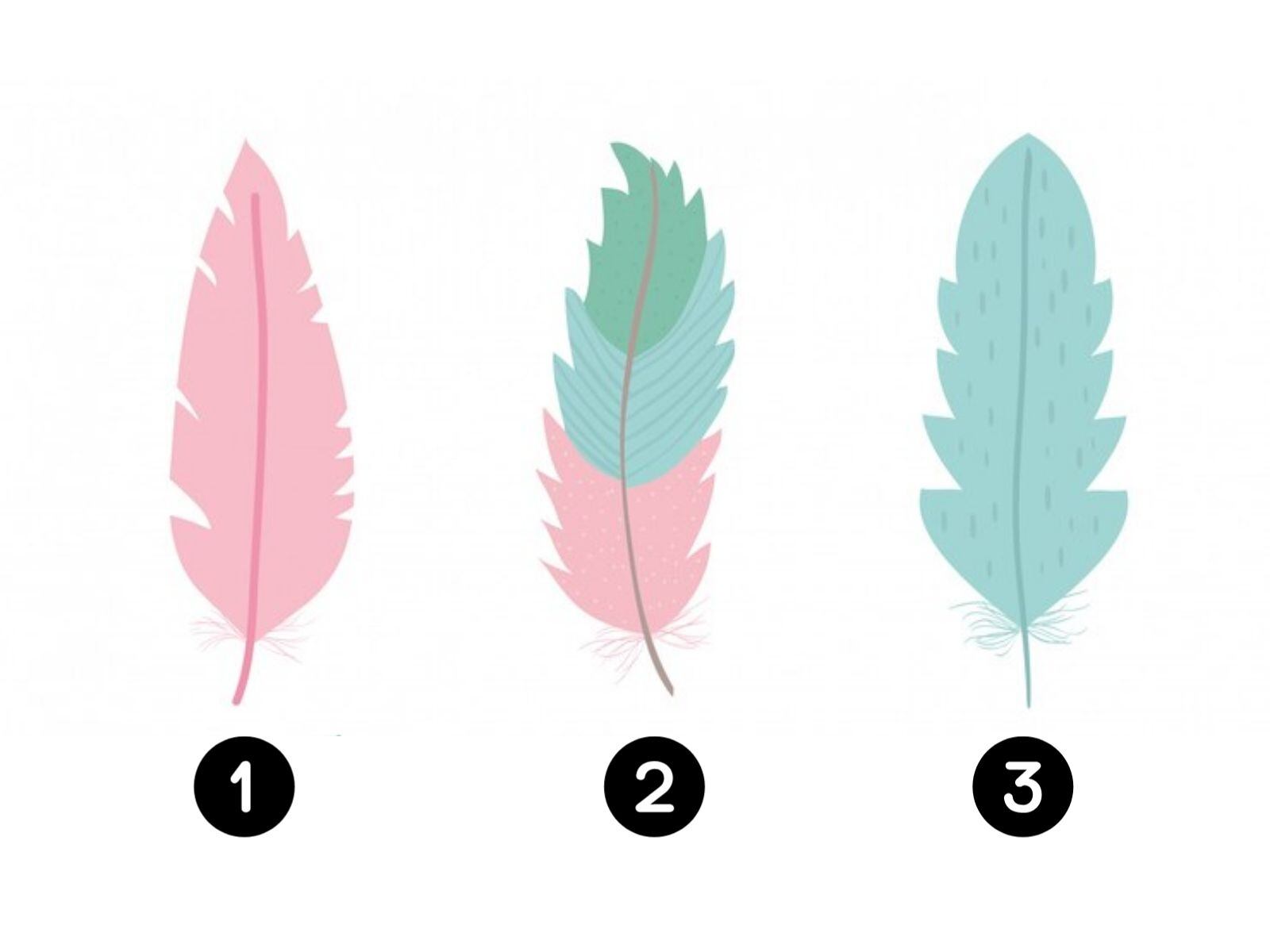 TEST VISUAL | Cada pluma cuenta con una importante información. (Foto: Composición Freepik / Depor)