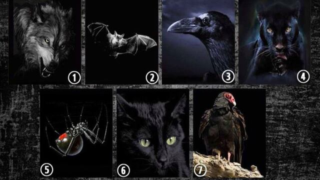 El animal más oscuro: elige uno de ellos y descubre tu personalidad en el test viral [FOTO]