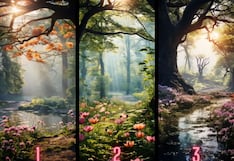 ¿Qué estás atrayendo a tu vida? Descúbrelo eligiendo una imagen