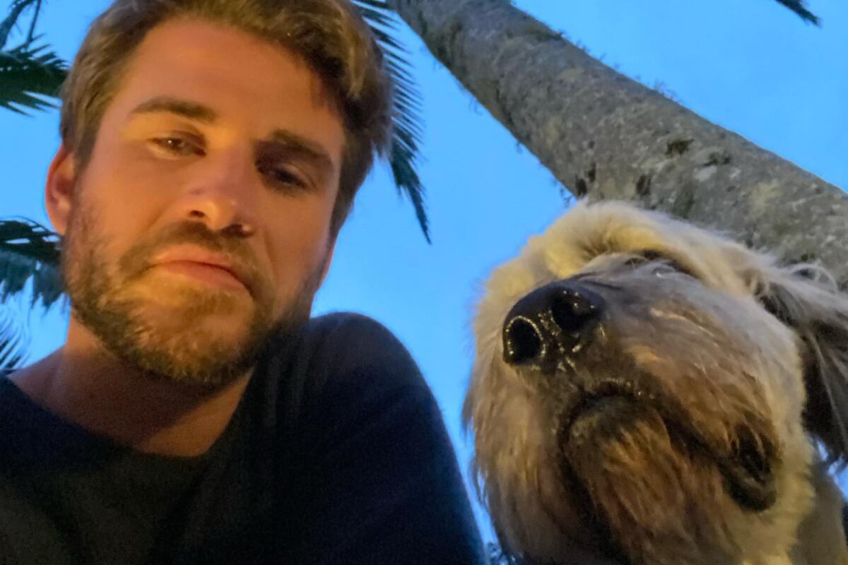El actor en un selfie con su mascota (Foto: Liam Hemsworth / Instagram)