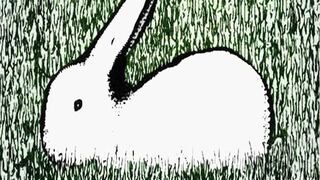 ¿Qué animal viste primero? Descubre los aspectos más positivos de tu personalidad en este divertido test