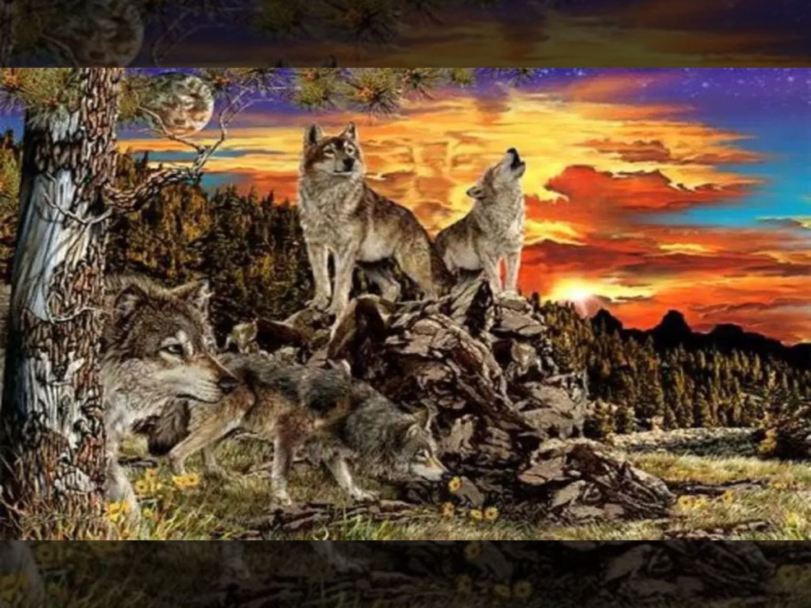 TEST VISUAL | Según tu respuesta, descubrirás una importante información de ti. (Foto: Namastest)