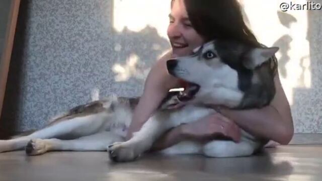 Perro recibe un abrazo de su dueña y su insólita reacción es tendencia en las redes sociales