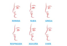 Si tu nariz es nubia, griega o romana podrás conocer si eres sincero