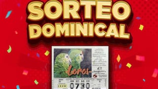 Lotería Nacional de Panamá de hoy, 28 de agosto: ver resultados del ‘Sorteo Dominical’