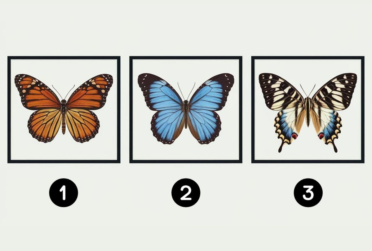 Escoge una de las tres mariposas en esta imagen para descubrir cómo eres realmente (Foto: Depor).