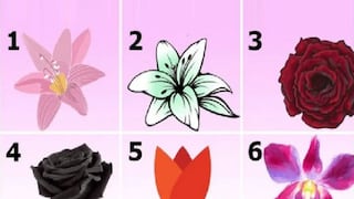 Conoce la clase de persona que eres luego de responder cuál es la flor que más te gusta