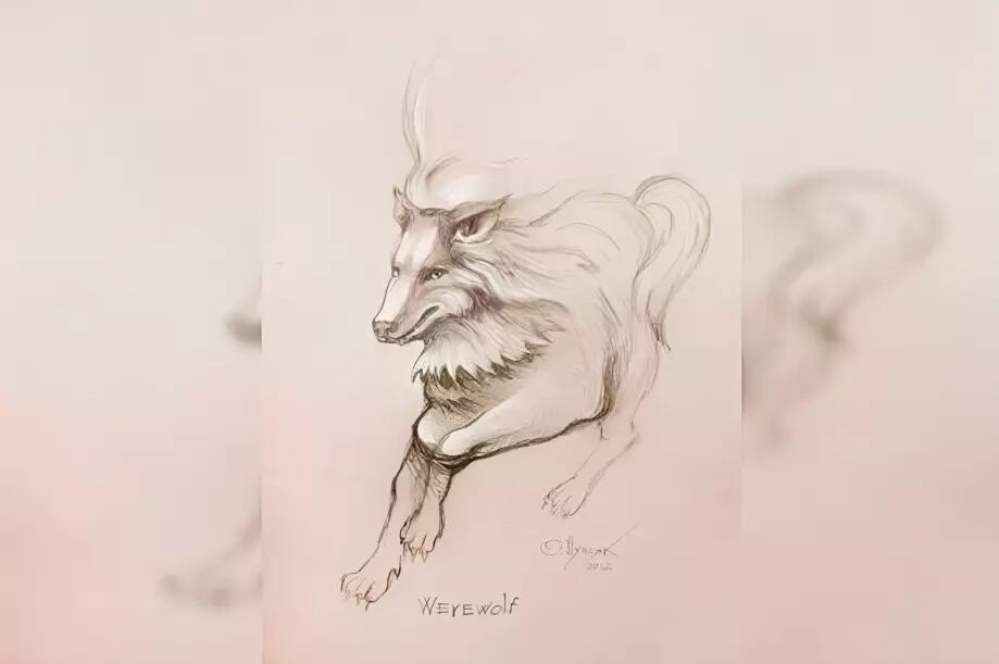 Descubre qué tipo de persona eres según observes un lobo o un hombre en la imagen (Foto: GenialGuru).