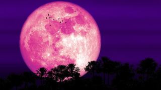 Luna Rosa 2024 de abril en México: cómo, cuándo y dónde verla en México