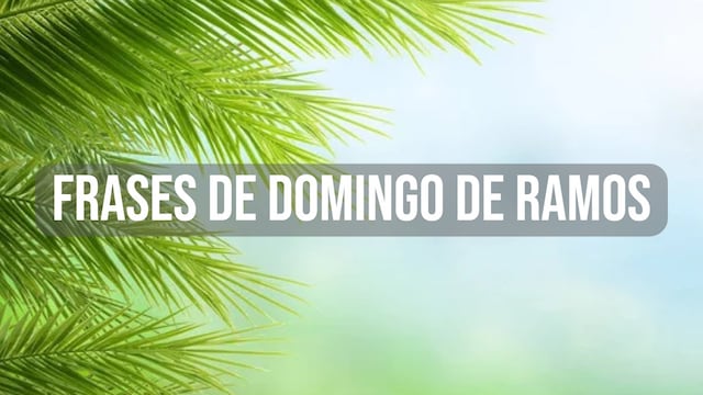 40 frases de Domingo de Ramos: cortas y de reflexión para enviar en el inicio de Semana Santa