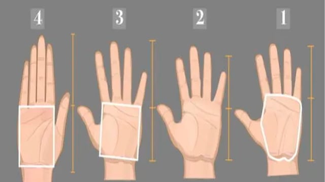 La palma de tu mano podrá mostrarte distintos secretos de tu personalidad