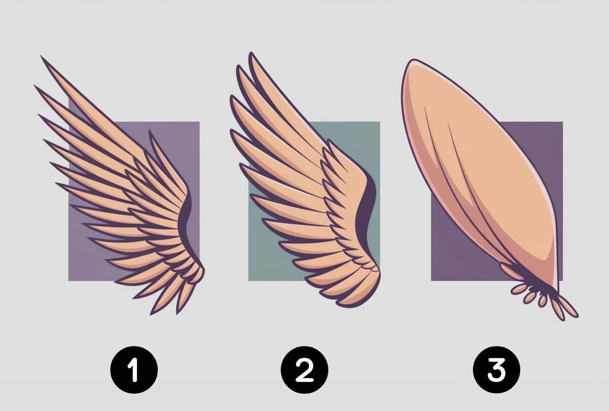 Elige una de las tres alas en esta imagen para descubrir cuál es tu mayor deseo (Foto: Depor).