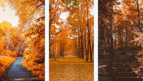TEST VISUAL | El otoño es una de las estaciones más hermosas que puede existir. (Foto: Composición Freepik / Depor)