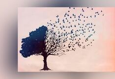 Test visual: descubre qué clase de persona eres este 2024 según qué viste primero