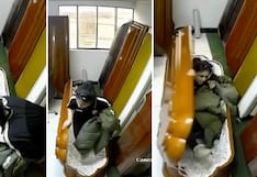 Descanso inusual: hincha de Universitario duerme dentro de ataúd en funeraria