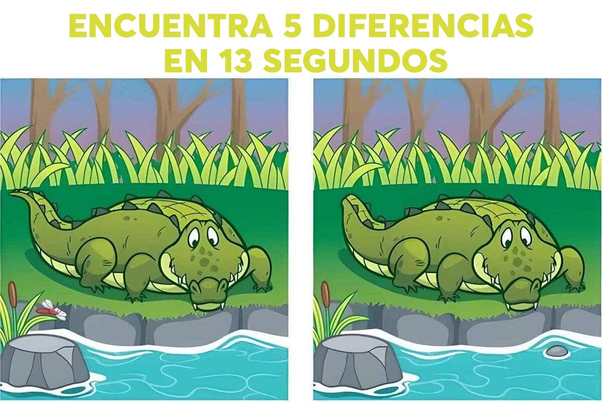 DESAFÍO VISUAL | Hay 5 diferencias entre las dos imágenes de cocodrilo y tienes 13 segundos para descubrirlas | Foto: jagranjosh
