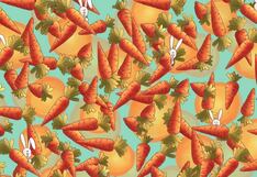 Encuentra el lápiz oculto entre las zanahorias ¡Tienes solo 10 segundos!