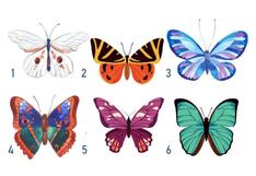 Descubrirás muchas cosas sobre ti apenas elijas una mariposa