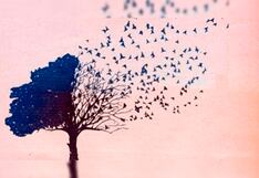 Contesta qué identificas en la imagen del test visual y conocerás tu mayor defecto