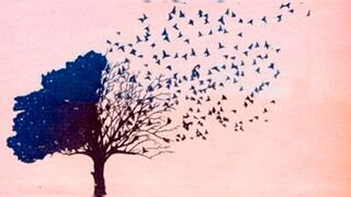 Contesta qué identificas en la imagen del test visual y conocerás tu mayor defecto