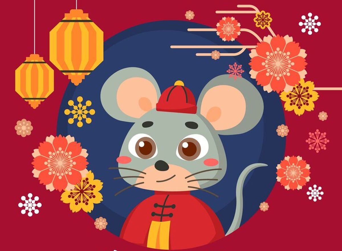 La Rata es considerada como un animal respetable en la India y China (Foto: Freepik)